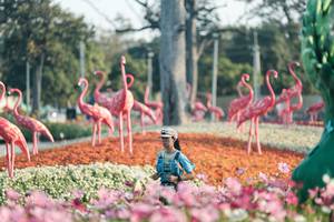 BIB: 
                            <button type="button" onclick="openModal(27344182)" class="btn btn-primary btn-sm float-right btn-popup" data-toggle="modal" data-target=".modal-high-quality">
                        <i class="fas fa-shopping-cart"></i> Add to Cart
                    </button>
                                            <button type="button" onclick="isThisMe(27344182, true)" class="btn btn-success btn-sm float-right btn-popup btn-isme hidden" data-toggle="tooltip" data-placement="bottom" title="นี่คือรูปของคุณใช่ไหม คลิกที่นี่เพื่อเอาเข้าอัลบั้ม">
                        <i class="fas fa-plus"></i> Add to album
                    </button>
                    <button type="button" onclick="isThisMe(27344182, false)" class="btn btn-warning btn-sm float-right btn-popup btn-isnotme hidden">
                        <i class="fas fa-ban"></i> Remove from album
                    </button>